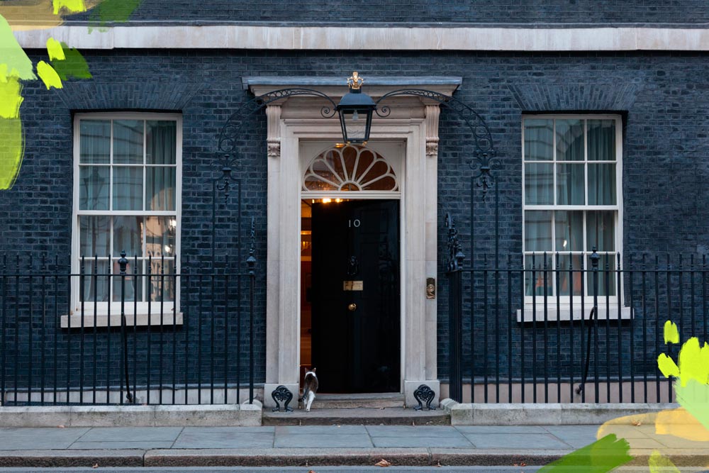 gato entrando en residencia de primer ministro, en dowing street