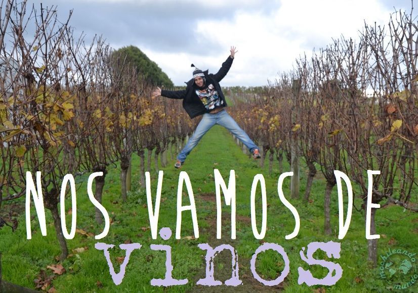 tour vinos Nueva Zelanda