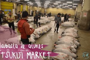 tsukiji market