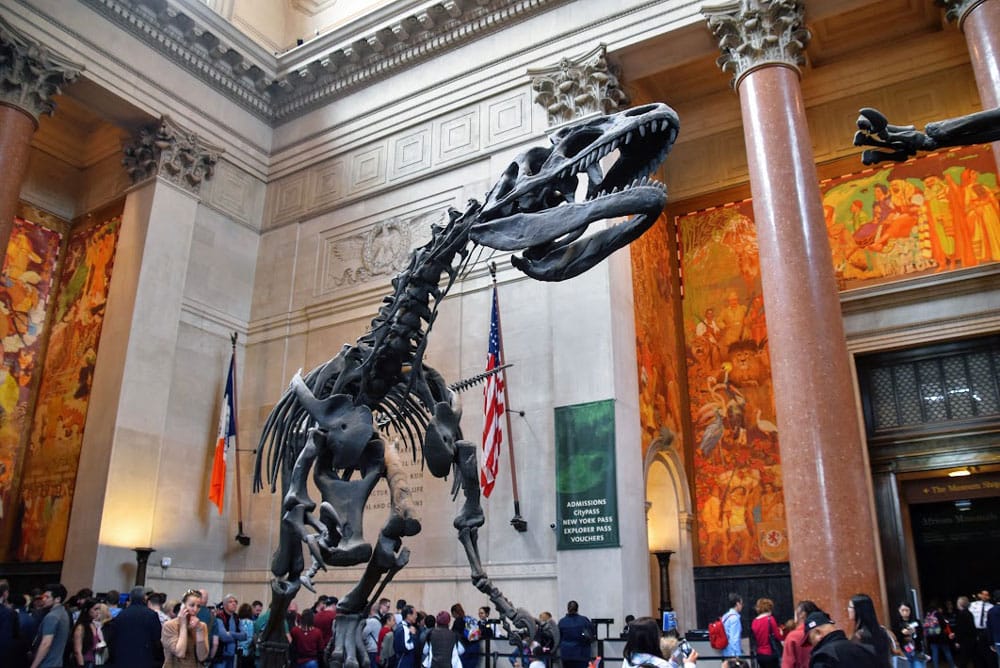 museo historia natural, uno de los mejores museos de nueva york