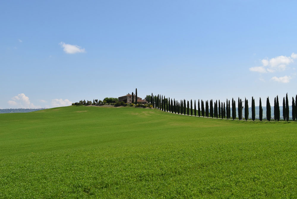 campos de toscana