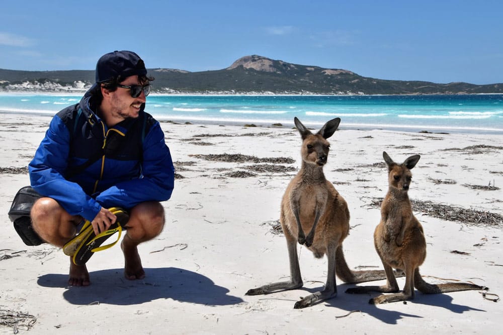 que ver y hacer en Australia Lucky Bay canguros