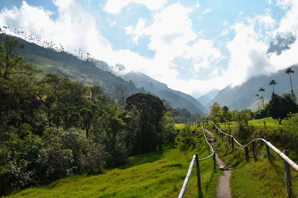 que ver en colombia, valle del cocora