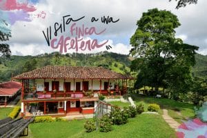 Visitar una finca cafetera en el Eje Cafetero de Colombia