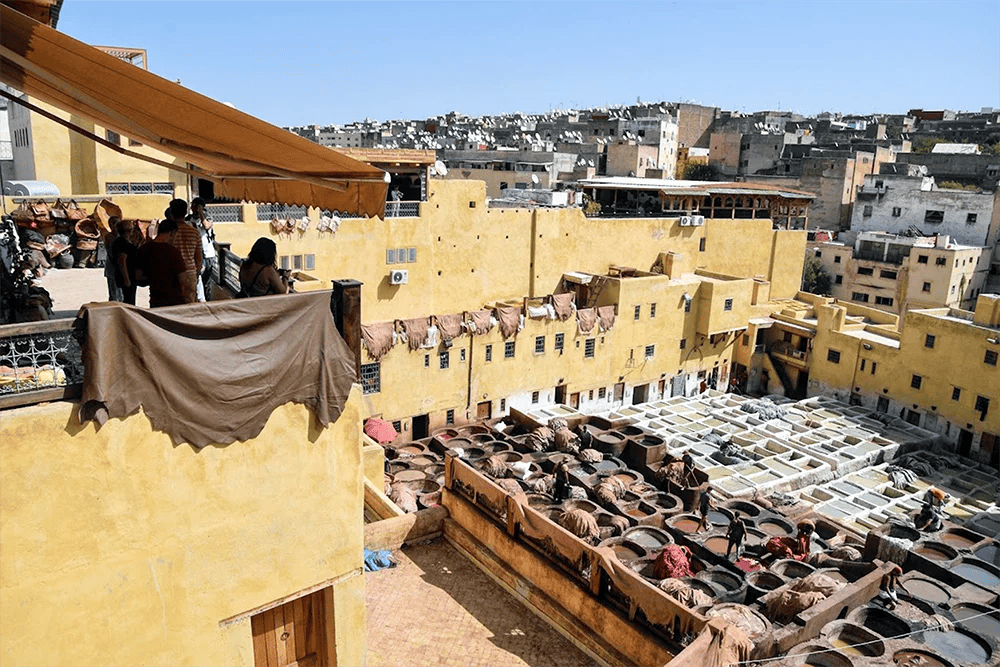 Curtiduría Chouwara que ver en Fez