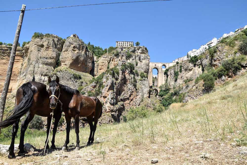 Puente de Ronda