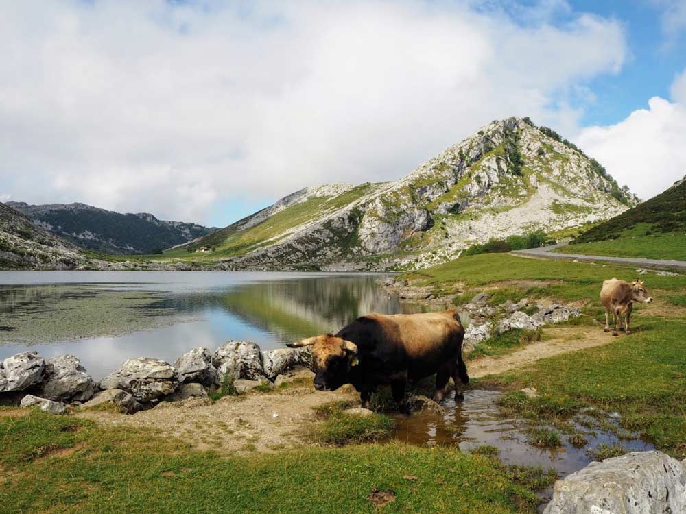 Lagos de Covadonga Asturias