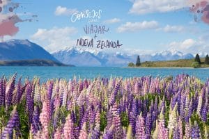 consejos para viajar a Nueva Zelanda