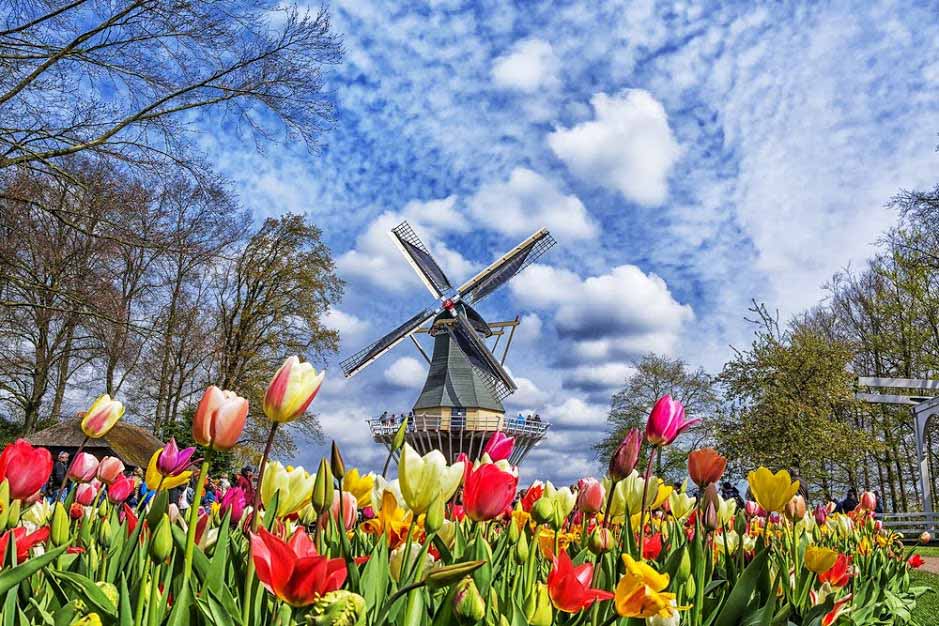 Parque de Keukenhof en los Países Bajos