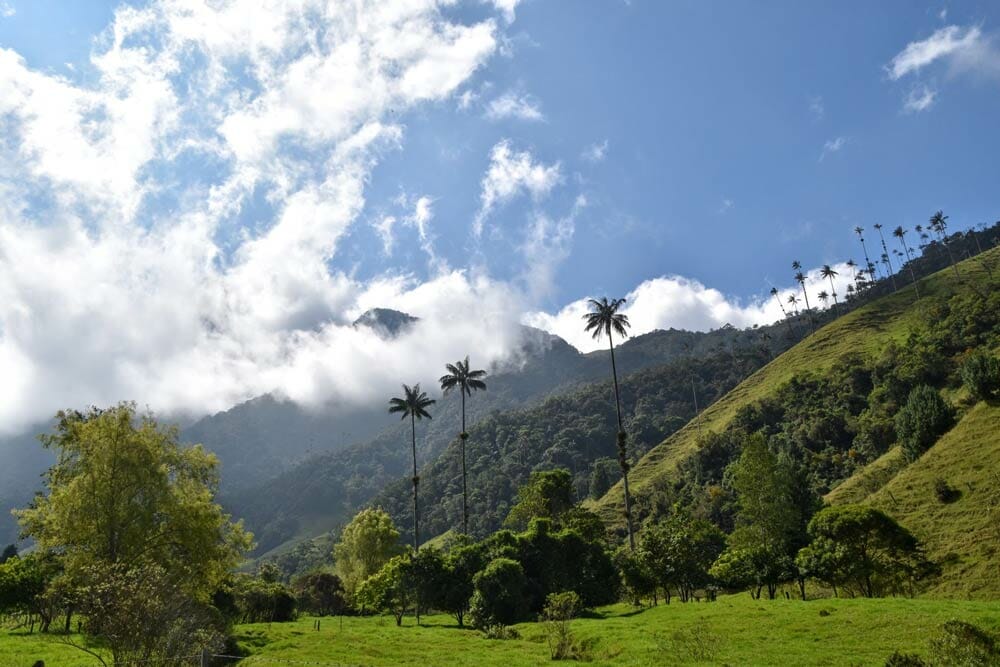 Eje cafetero de Colombia