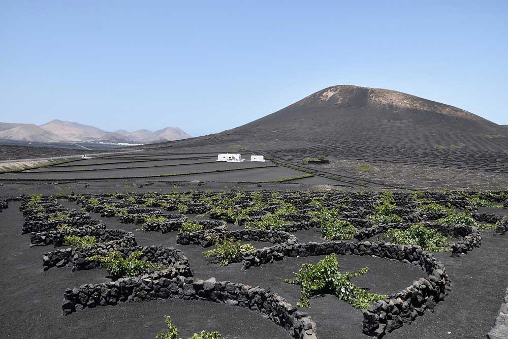 La Geria Lanzarote