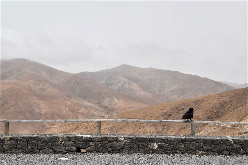 Mirador del Risco de las Peñas Fuerteventura