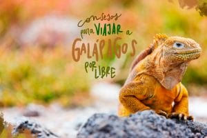 consejos para viajar a Galápagos