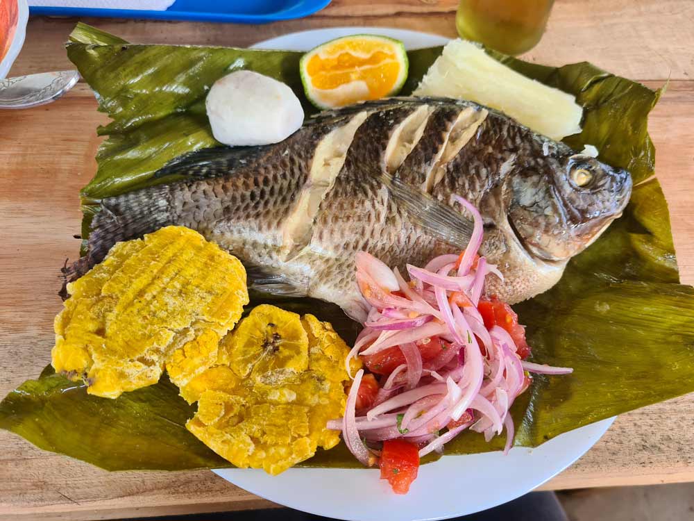 pescado Tilapia pez del Amazonas