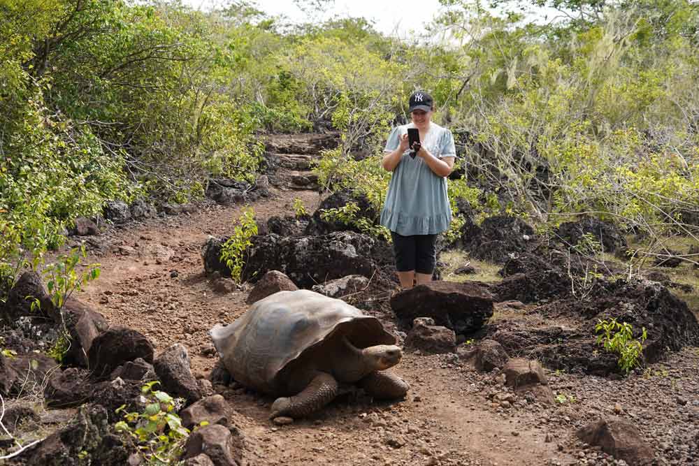 que ver y hacer en San Cristóbal Galápagos tortuga