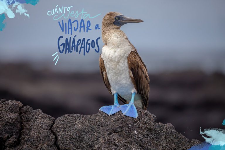 cuanto-cuesta-viajar-galapagos