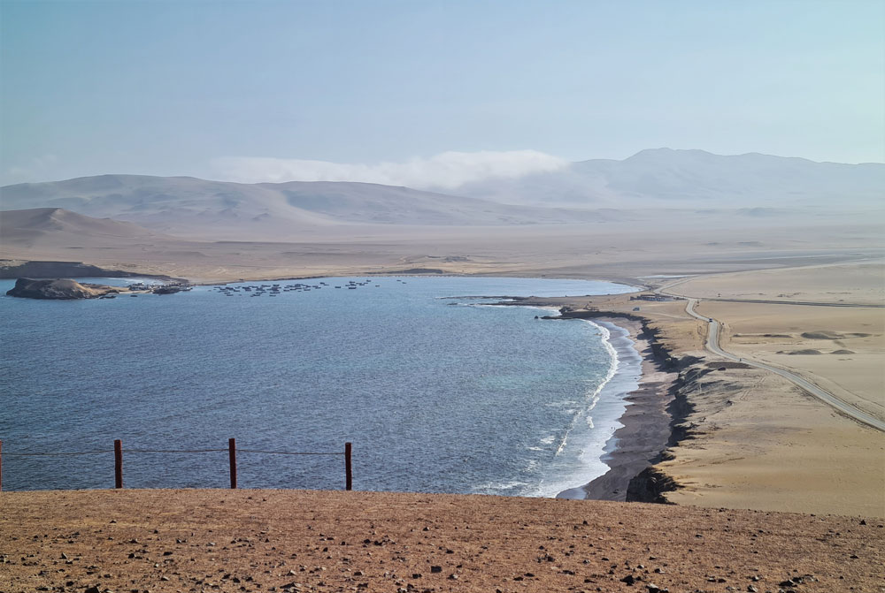 Reserva Nacional de Paracas