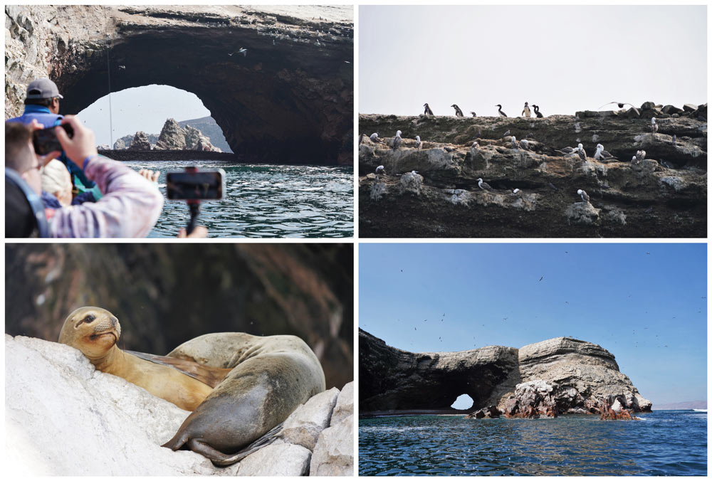 tour en barco por las Islas Ballestas