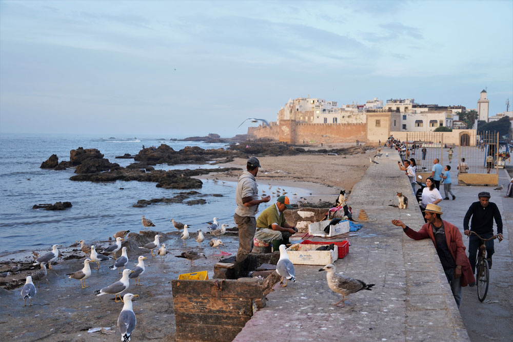 Essaouira Marruecos