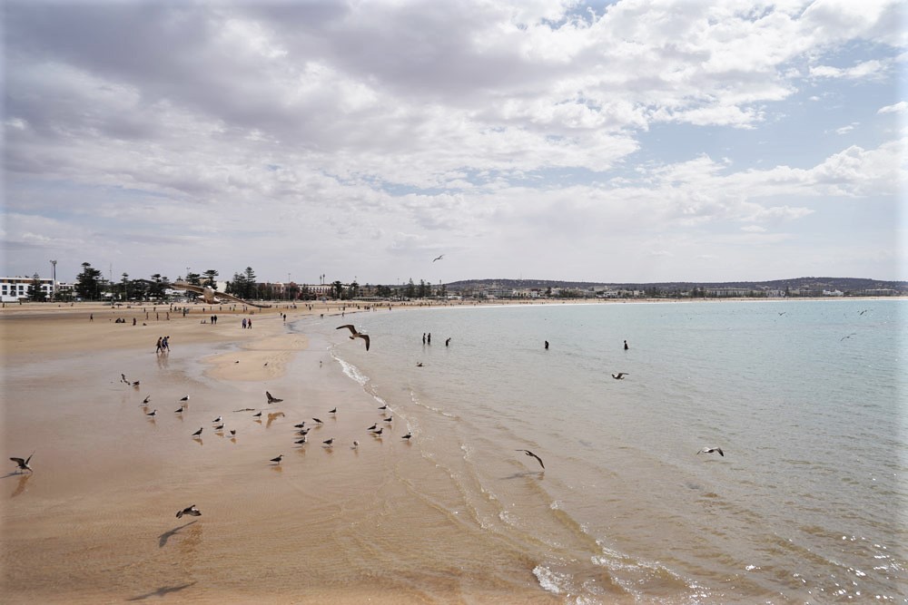 playa de Essaouira