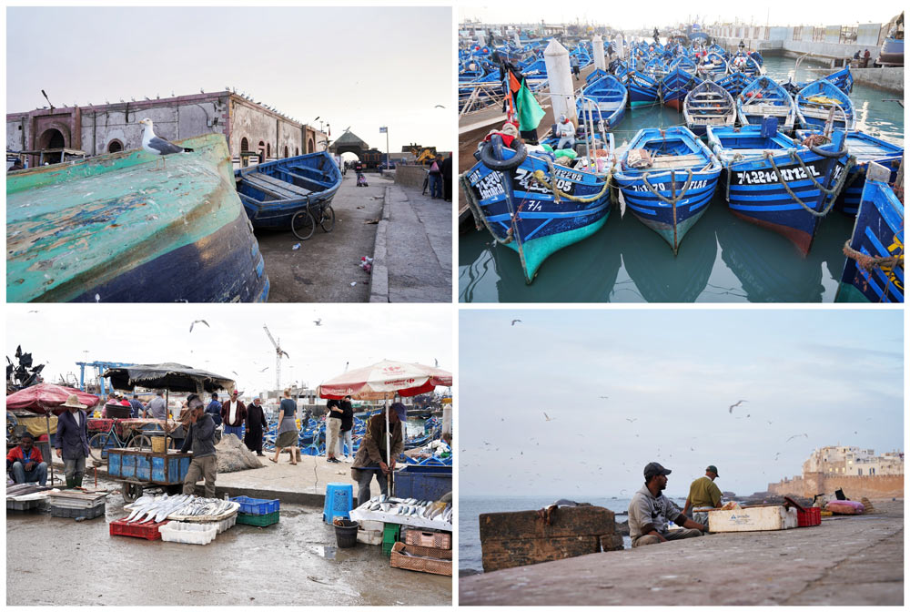 Puerto de Essaouira