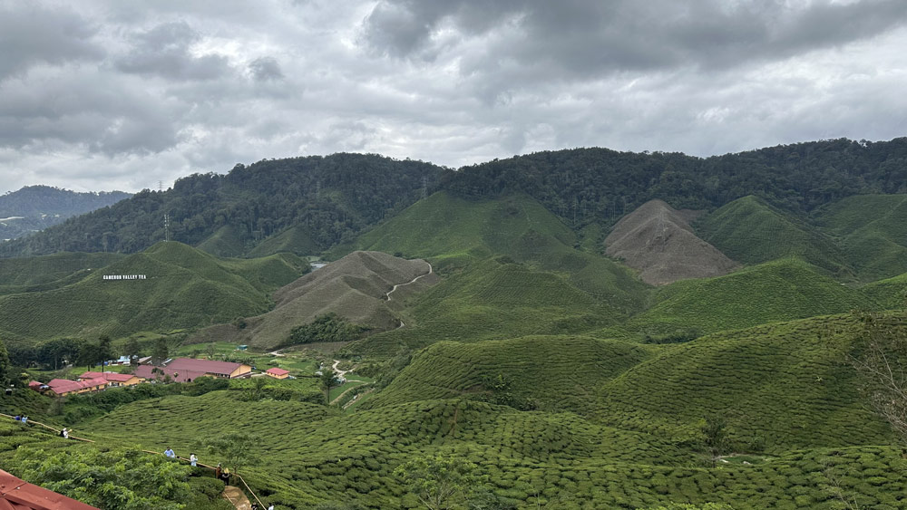 Cameron Highlands