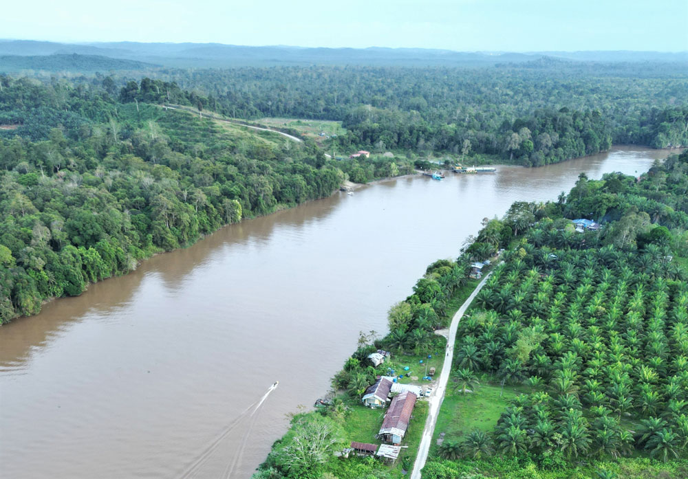 río Kinabatangan Borneo