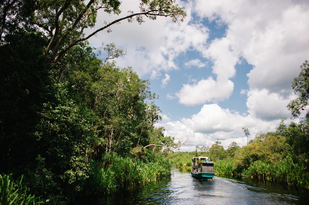 Parque Nacional Tanjung Puting