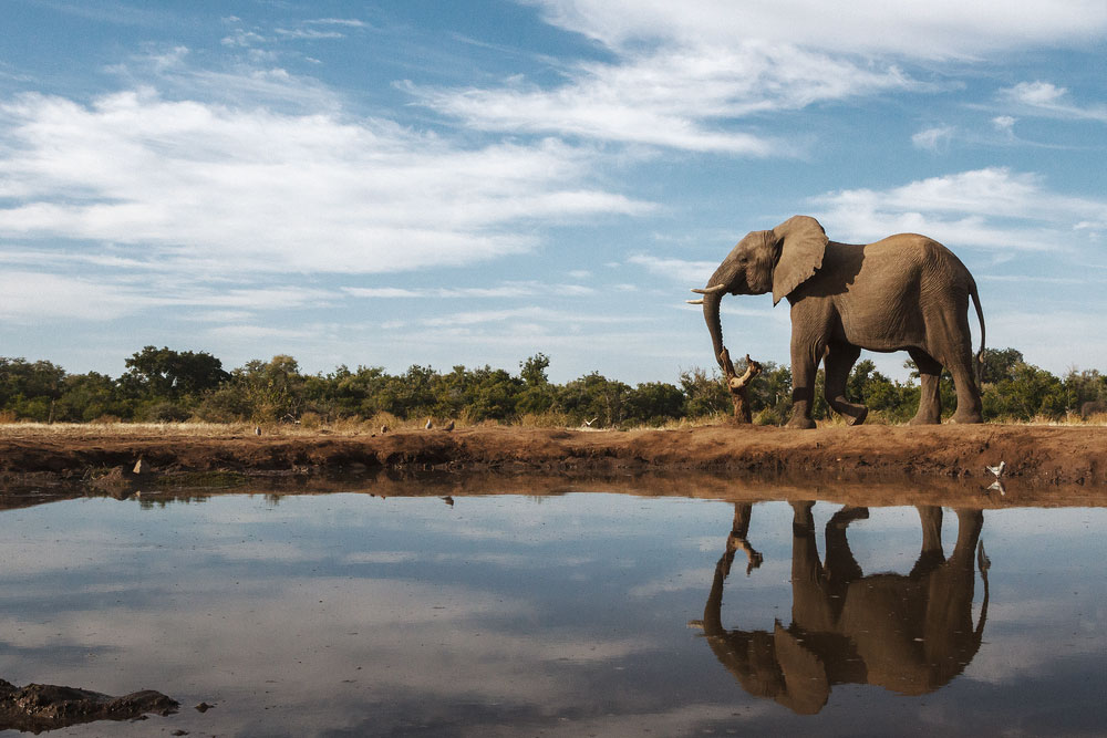 destinos donde viajar en agosto Botswana