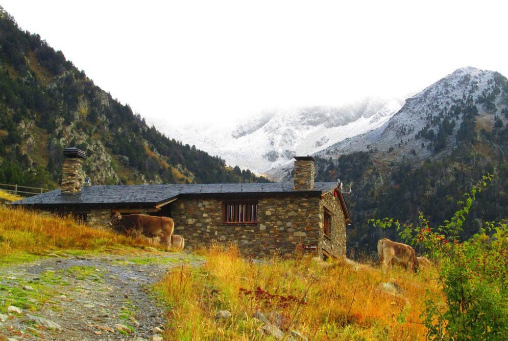 Parque Natural de Sorteny Andorra