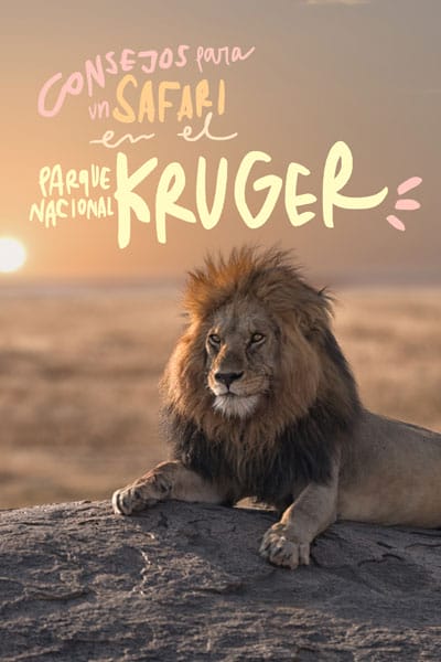 consejos para visitar el Kruger