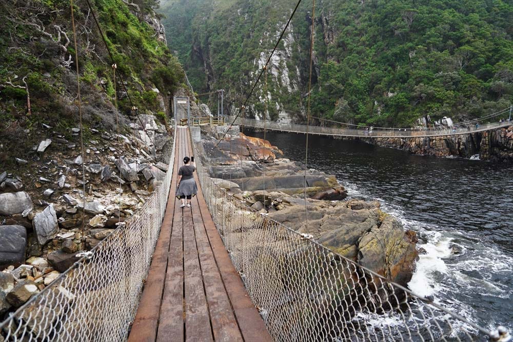 puentes colgantes en el Parque Nacional Tsitsikamma en Sudáfrica