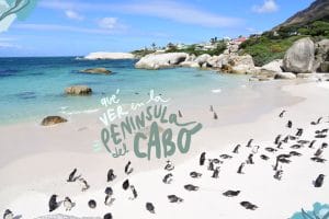 que ver en la Península del Cabo