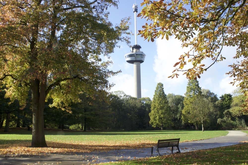 Torre Euromast asomando en un parque