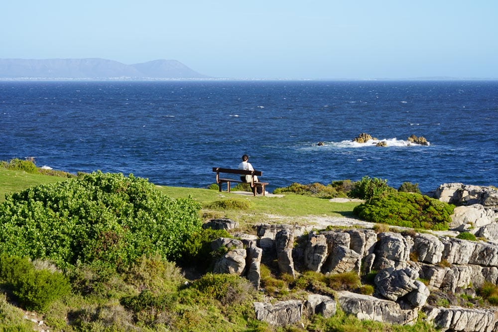 cliff path en hermanus