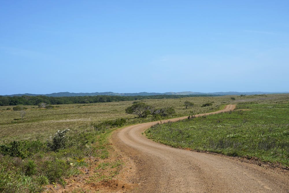 carretera de tierra en isimangaliso Sudáfrica