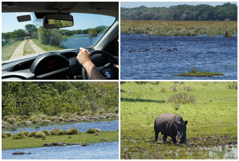 Grassland Loop en iSimangaliso