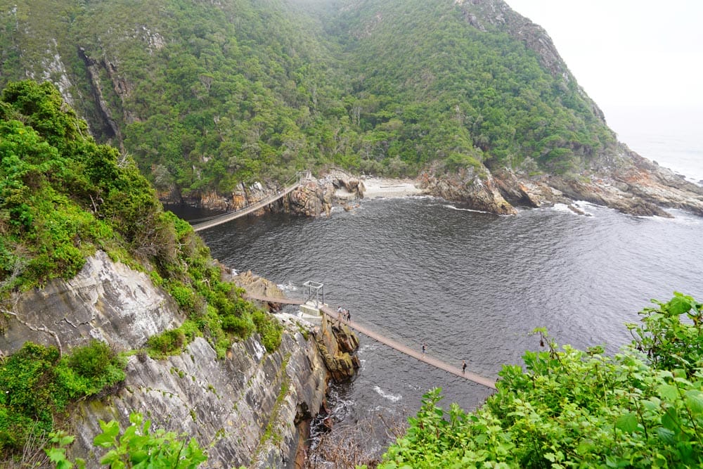 puentes colgantes en la Reserva Natural de Tsitsikamma en la Ruta Jardín