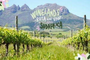 ruta del vino en sudafrica