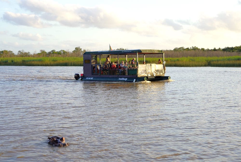 tour en barco para ver hipopótamos en Santa Lucia