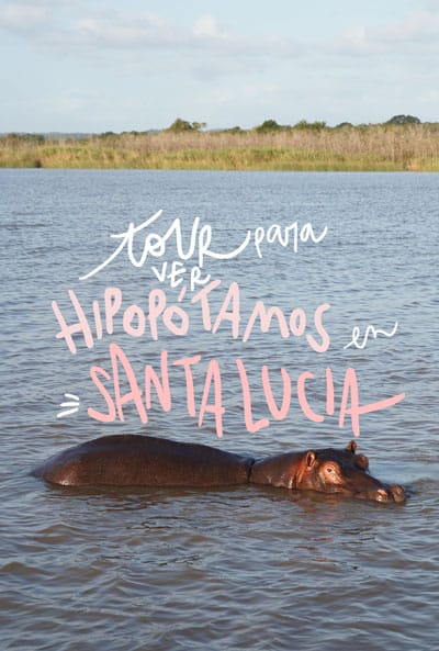 tour hipopótamos en santa lucia