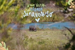 visitar Parque del Humedal de iSimangaliso