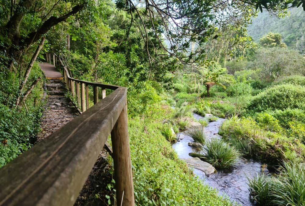 senderos en Wilderness National Park