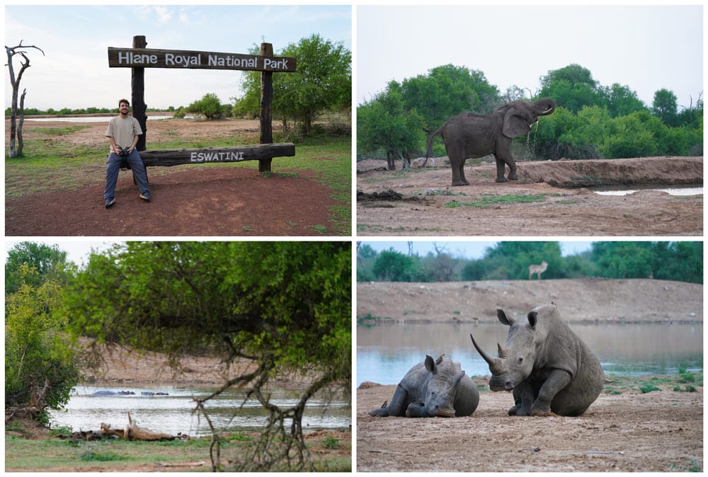 poza con animales en el campamento Ndlovu en Esuatini