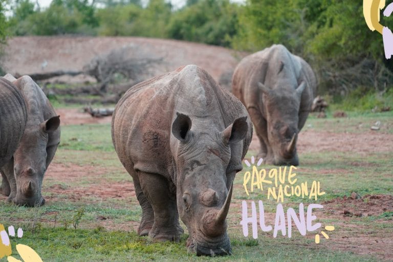 parque nacional hlane esuatini