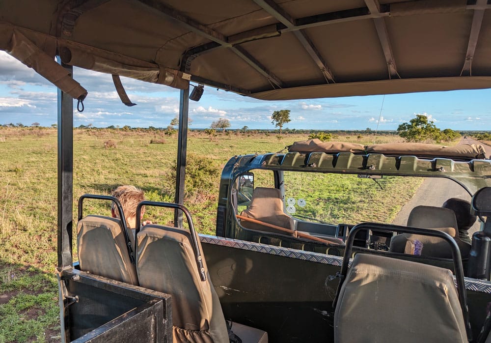 game drive en el kruger