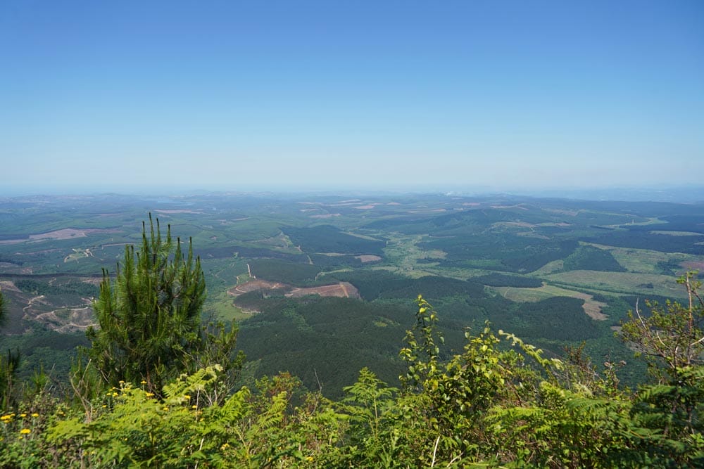 mirador del God´s Window en la Ruta Panorama de Sudáfrica