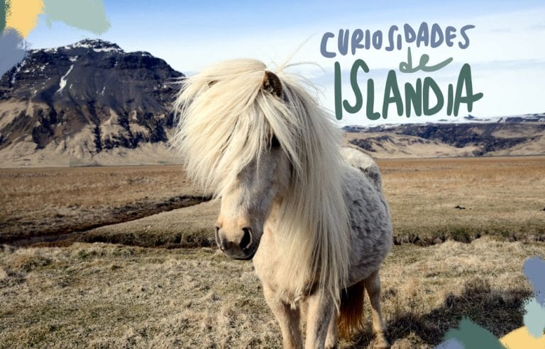 curiosidades de islandia