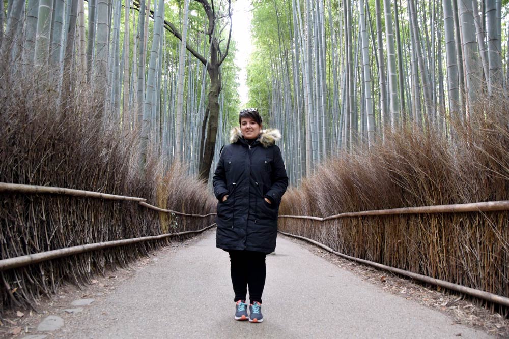 bosque de Bambú Arashiyama en Kioto