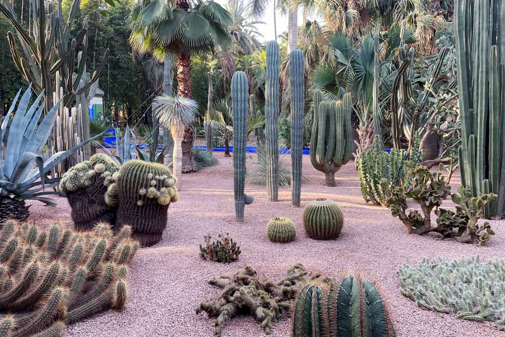 Jardín Majorelle en Marrakech